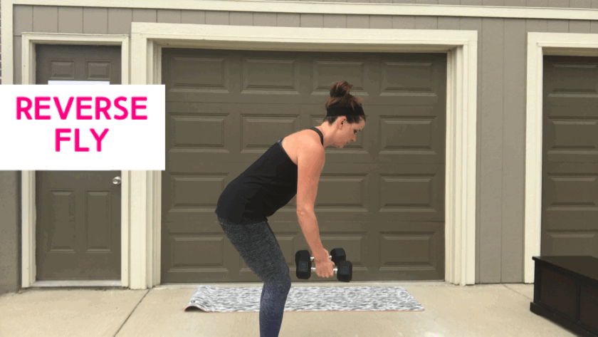 Reverse Fly - Workout Wednesday - 10.31.2018 - Full Body